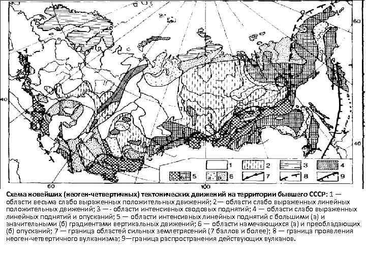Схема новейших (неоген-четвертичных) тектонических движений на территории бывшего СССР: 1 — области весьма слабо