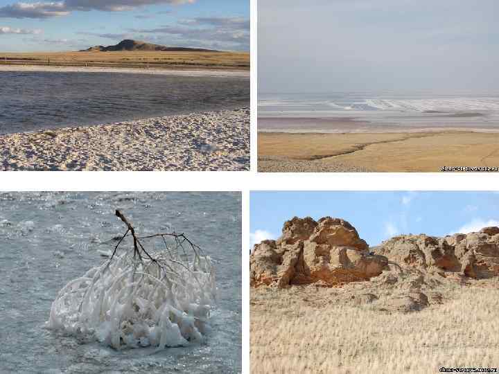  • Разведанные запасы минеральных вод (м 3/сут. ) 