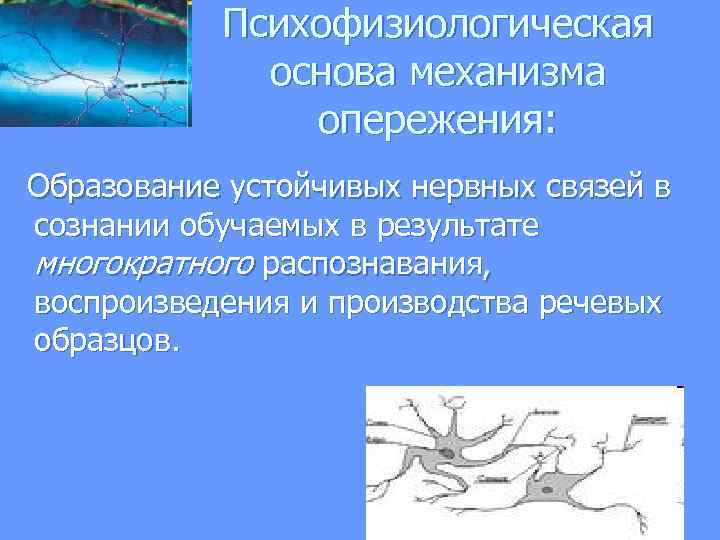  Психофизиологическая основа механизма опережения: Образование устойчивых нервных связей в сознании обучаемых в результате