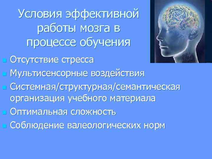  Условия эффективной работы мозга в процессе обучения n Отсутствие стресса n Мультисенсорные воздействия