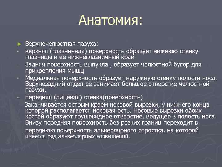  Анатомия: ► Верхнечелюстная пазуха: - верхняя (глазничная) поверхность образует нижнюю стенку глазницы и