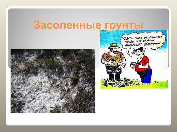 Засоленные грунты 