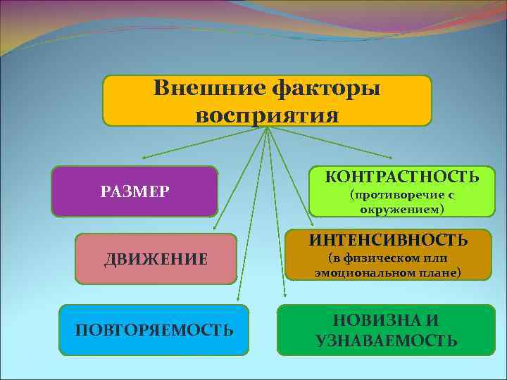 Внешние факторы это. Факторы восприятия. Внешние факторы восприятия. Внутренние факторы восприятия. Факторы восприятия в психологии.