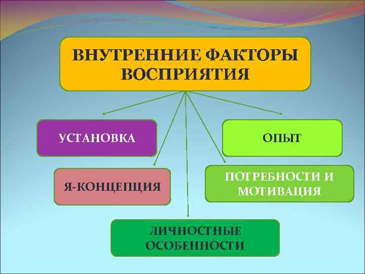  ВНУТРЕННИЕ ФАКТОРЫ ВОСПРИЯТИЯ УСТАНОВКА ПСИХИКА ОПЫТ ЛИЧНОСТЬ ПОТРЕБНОСТИ И Я-КОНЦЕПЦИЯ МОТИВАЦИЯ ЛИЧНОСТНЫЕ ОСОБЕННОСТИ