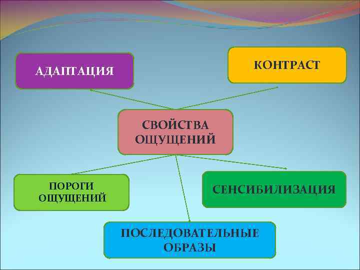 Чувствительность адаптация сенсибилизация синестезия. Адаптация ощущений в психологии. Виды порогов ощущений. Последовательный образ ощущений это.