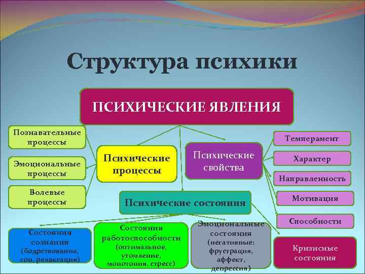 Структура психики человека схема