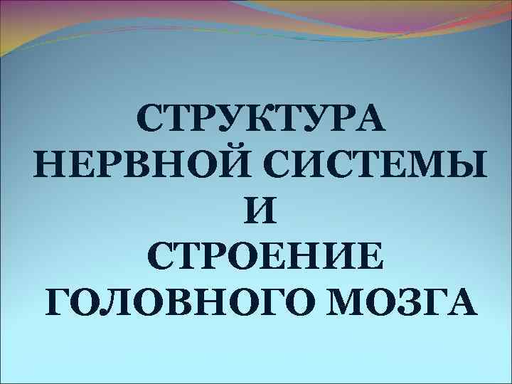 СТРУКТУРА НЕРВНОЙ СИСТЕМЫ И СТРОЕНИЕ ГОЛОВНОГО МОЗГА СТРУКТУРА НЕРВНОЙ СИСТЕМЫ И СТРОЕНИЕ ГОЛОВНОГО МОЗГА
