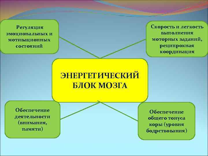 Регуляция Скорость и легкость эмоциональных и Регуляция Скорость и легкость эмоциональных и
