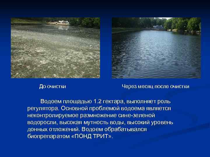   До очистки   Через месяц после очистки Водоем площадью 1. 2