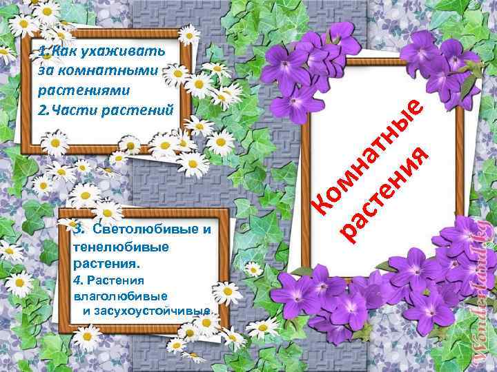 1. Как ухаживать за комнатными растениями 2. Части растений ия е ен ны ст