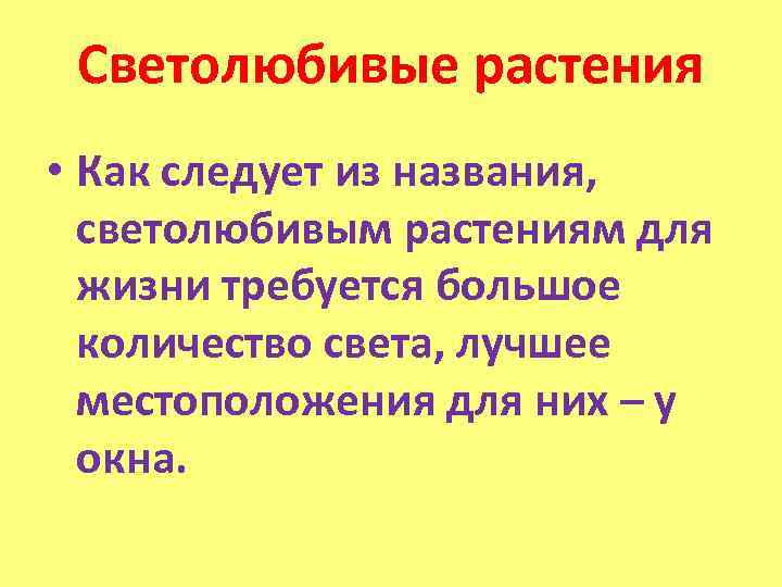  Светолюбивые растения • Как следует из названия, светолюбивым растениям для жизни требуется большое