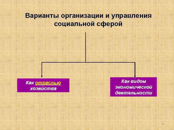 Варианты организации и управления социальной сферой Как отраслью Как видом хозяйства экономической деятельности 8