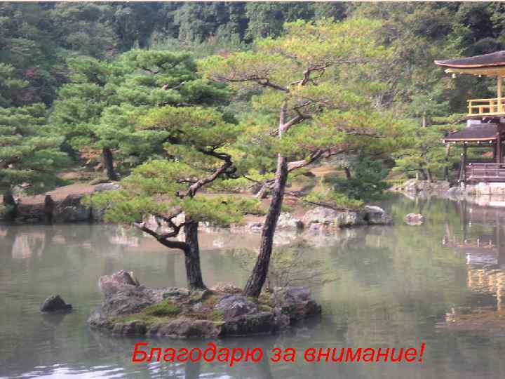 Благодарю за внимание! 