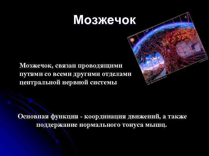 Функциональная асимметрия  головного мозга 