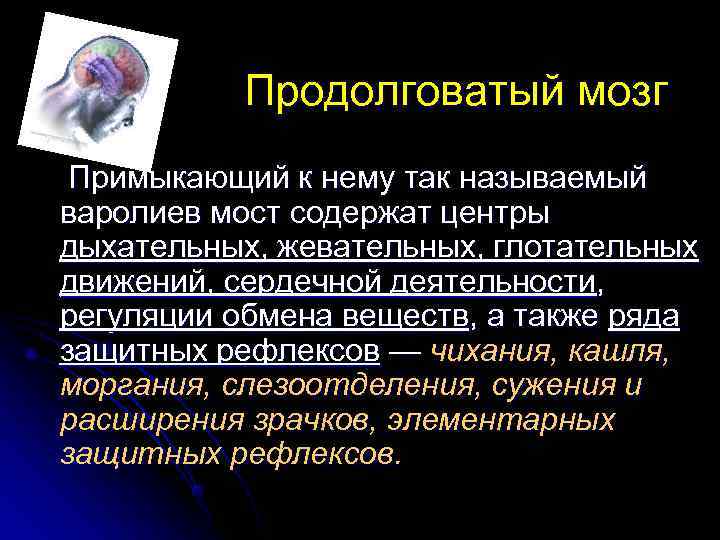   Возбуждение и торможение l  Закон иррадиации и концентрации 
