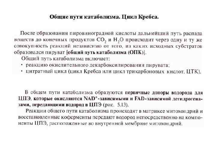 Общие пути катаболизма. Цикл Кребса. 