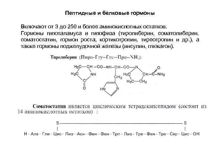  Пептидные и белковые гормоны Включают от 3 до 250 и более аминокислотных остатков.