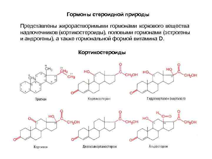  Гормоны стероидной природы Представлены жирорастворимыми гормонами коркового вещества надпочечников (кортикостероиды), половыми гормонами (эстрогены