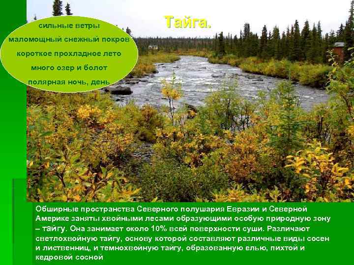  сильные ветры    Тайга. маломощный снежный покров короткое прохладное лето много