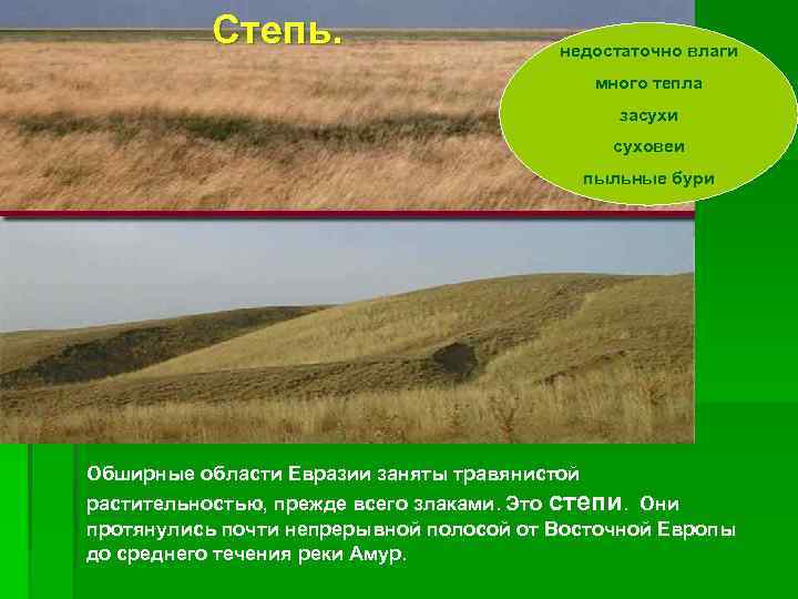   Степь.     недостаточно влаги    много тепла