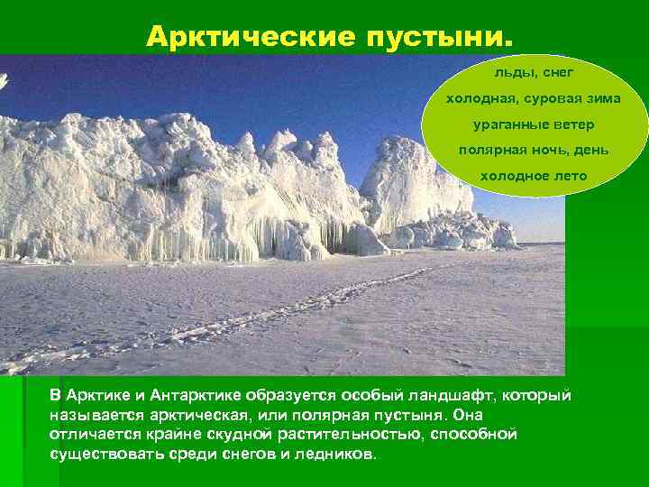   Арктические пустыни.     льды, снег   