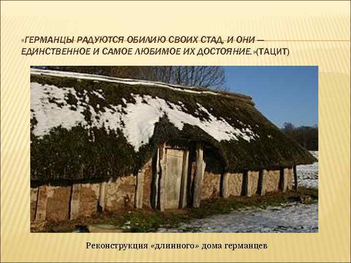  «ГЕРМАНЦЫ РАДУЮТСЯ ОБИЛИЮ СВОИХ СТАД, И ОНИ — ЕДИНСТВЕННОЕ И САМОЕ ЛЮБИМОЕ ИХ
