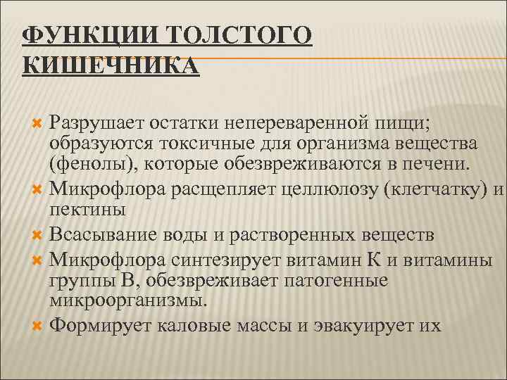 Непереваренные остатки пищи удаляются из организма через