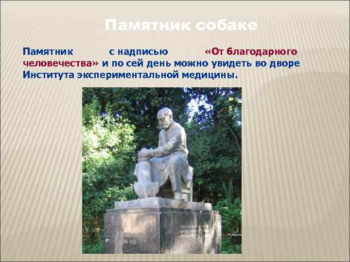    Памятник собаке Памятник  с надписью  «От благодарного человечества» и