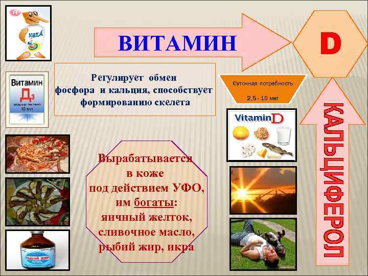   ВИТАМИН    D  Регулирует обмен   Суточная потребность