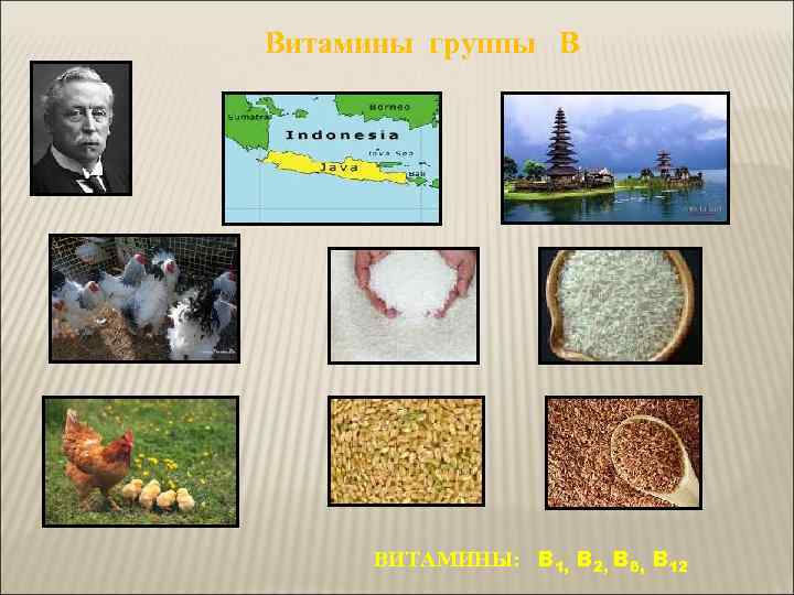 Витамины группы  В   ВИТАМИНЫ:  B 1, B 2, B 6,