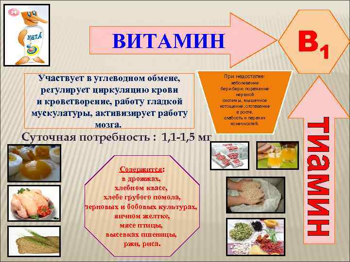     ВИТАМИН    B 1  Участвует в углеводном