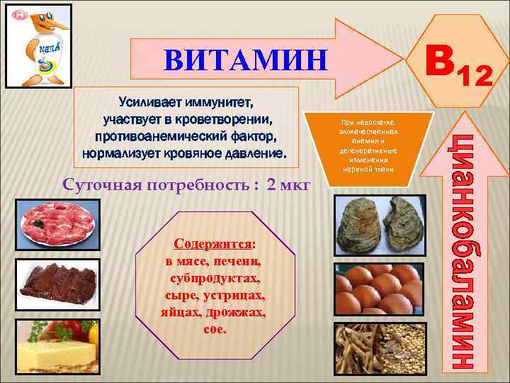    ВИТАМИН       B 12  Усиливает