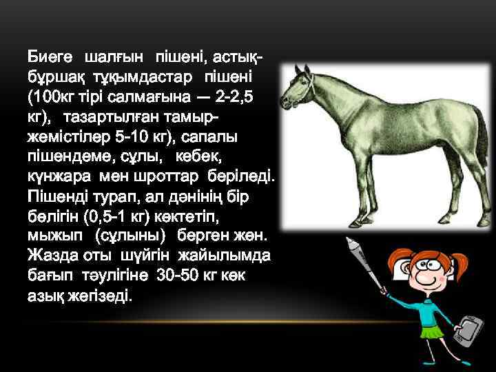 Биеге шалғын пішені, астық- бұршақ тұқымдастар пішені (100 кг тірі салмағына — 2 -2,