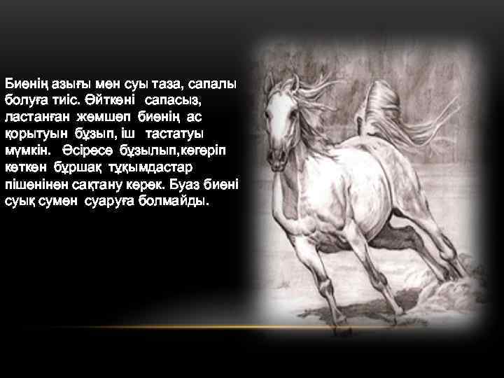 Биенің азығы мен суы таза, сапалы болуға тиіс. Өйткені сапасыз, ластанған жемшөп биенің ас