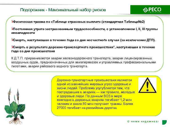  Подорожник - Максимальный набор рисков ØФизическая травма по «Таблице страховых выплат» (стандартная Таблица№