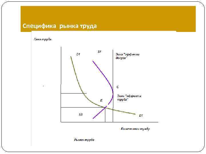 Специфика рынка труда 