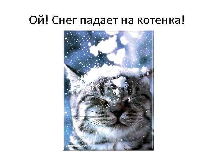 Ой! Снег падает на котенка! 