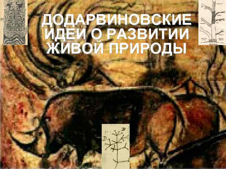 ДОДАРВИНОВСКИЕ ИДЕИ О РАЗВИТИИ ЖИВОЙ ПРИРОДЫ 