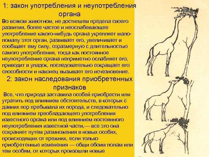 1: закон употребления и неупотребления   органа Во всяком животном, не достигшем предела
