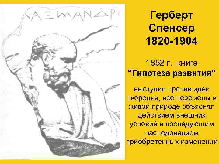  Герберт  Спенсер 1820 -1904 1852 г. книга “Гипотеза развития”  выступил против