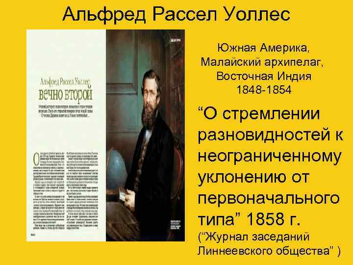 Альфред Рассел Уоллес    Южная Америка,   Малайский архипелаг,  