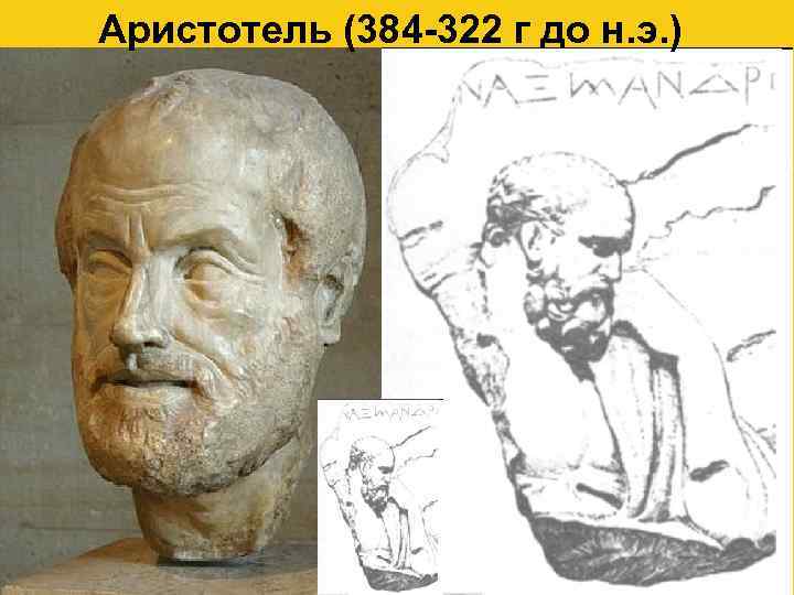 Аристотель (384 -322 г до н. э. ) 