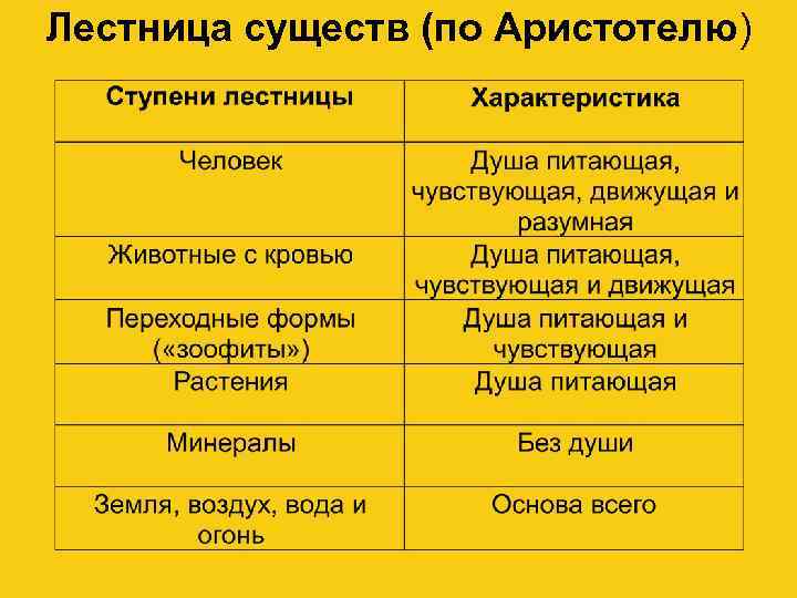 Лестница существ (по Аристотелю) 