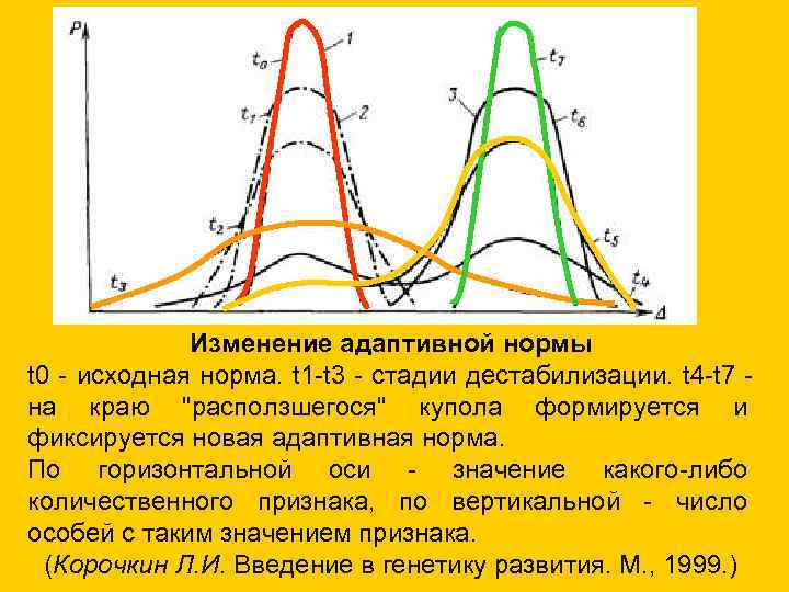    Изменение адаптивной нормы t 0 - исходная норма. t 1 -t