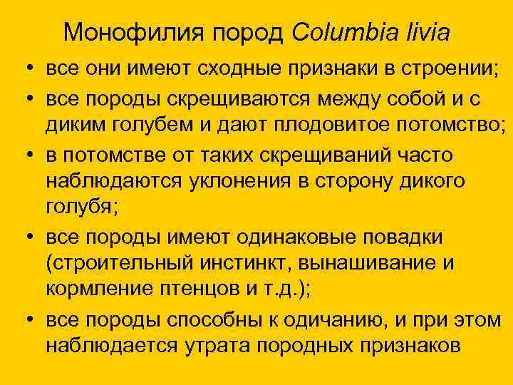   Монофилия пород Columbia livia • все они имеют сходные признаки в строении;