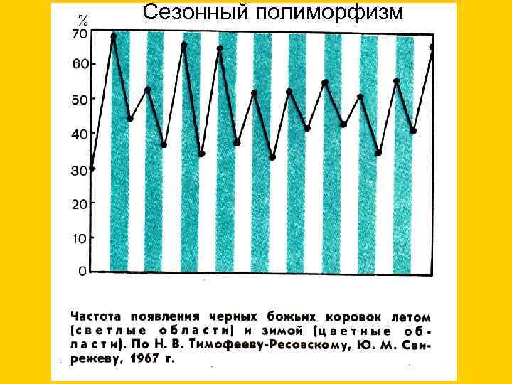 Сезонный полиморфизм 