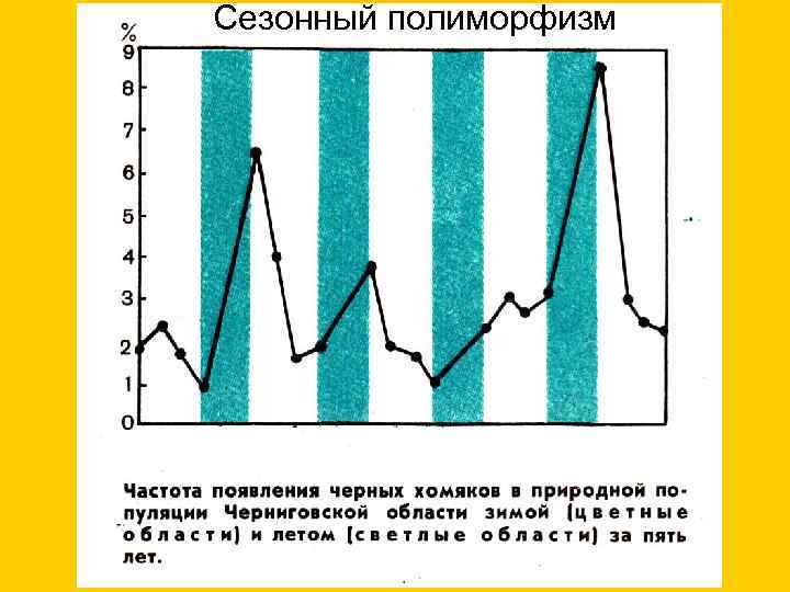 Сезонный полиморфизм 