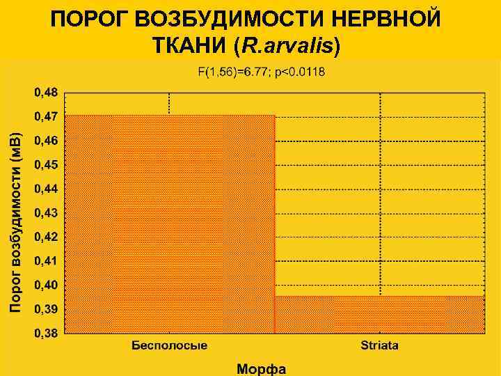 ПОРОГ ВОЗБУДИМОСТИ НЕРВНОЙ ТКАНИ (R. arvalis) 