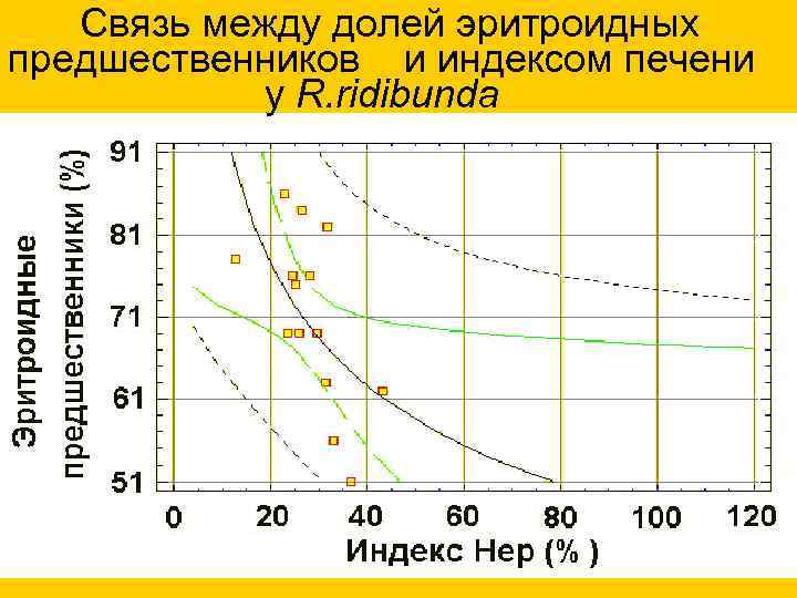  Связь между долей эритроидных предшественников и индексом печени у R. ridibunda 