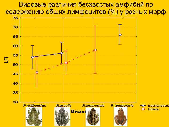  Видовые различия бесхвостых амфибий по содержанию общих лимфоцитов (%) у разных морф 